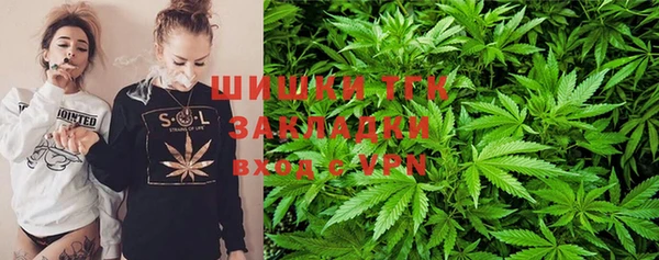 молекула духа Дмитровск