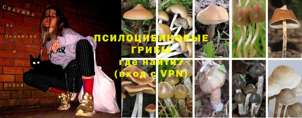 круглые Дмитров