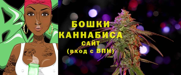 молекула духа Дмитровск